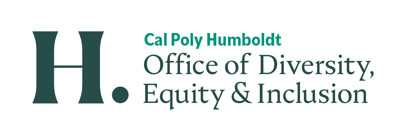 office of diversity equity and inclusion 